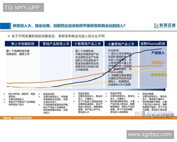 重庆足球队技术分析与战术创新的深度探讨与展望